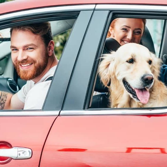 family_in_car